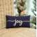 Blue Joy Mini Pillow