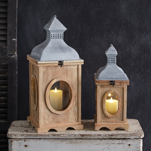 Oxeye Lantern