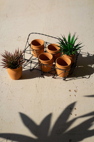 Six Clay Pots in a Wire Basket