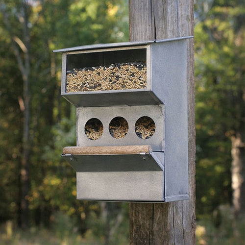 Backyard Buddies Bird  Feeder