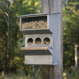 Backyard Buddies Bird  Feeder