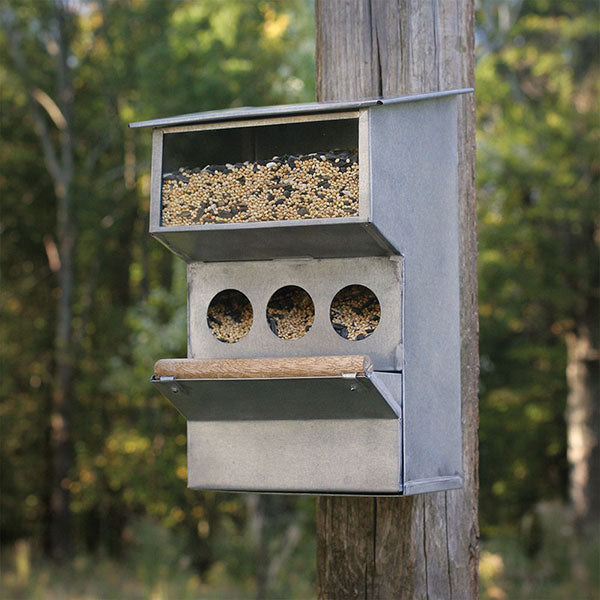 Backyard Buddies Bird  Feeder
