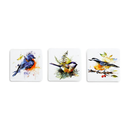 Songbird Magnet