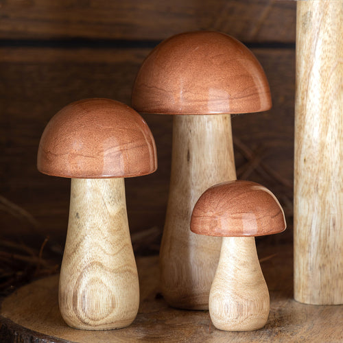 Copper Lacquer Topped Mushroom
