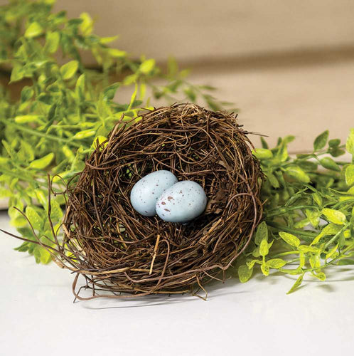 Angelvine Birdnest With Eggs