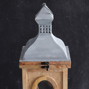 Oxeye Lantern
