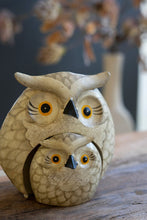 Load image into Gallery viewer, Set of 2 Painted Metal Owls
