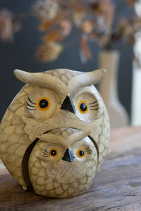 Set of 2 Painted Metal Owls