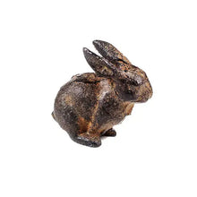 Load image into Gallery viewer, Small Cast Iron Rabbit