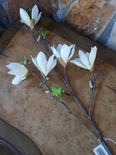 Load image into Gallery viewer, Magnolia Branch 37&quot;