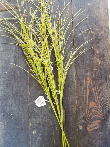 Floral Stem