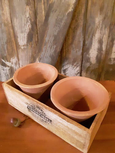 Wood tray with clay pots