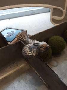 Galvanized tray with bird