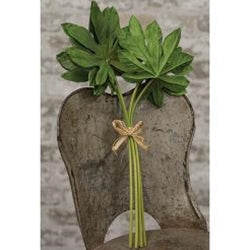 Giant Finn Leaf Bundle, 17.5