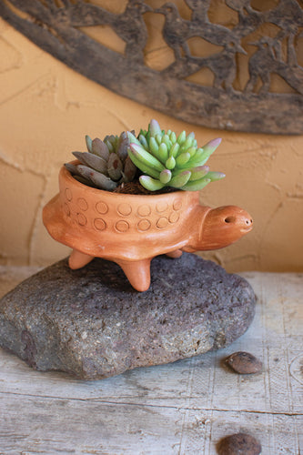 TERRACOTTA TURTLE PLANTER