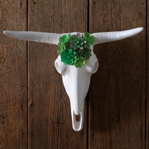 Longhorn Skull
