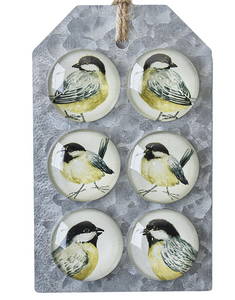 Chickadee Magnet (6 pc. set)