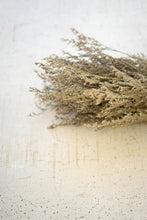 Load image into Gallery viewer, natural lavender bundle