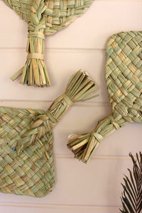 seagrass fan