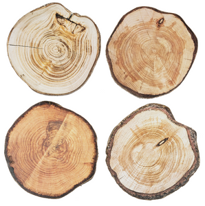 Faux Wood Slice Coaster (4 pc. set)